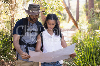 Couple reading map in forest