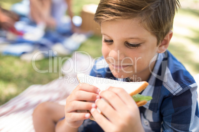 Boy having sandwich in picnic at park