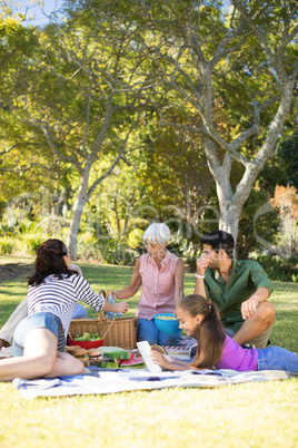 Happy family having picnic in the park