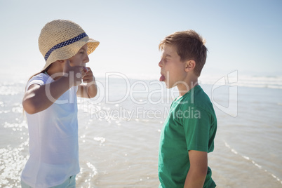 Side view of siblings teasing each other at beach