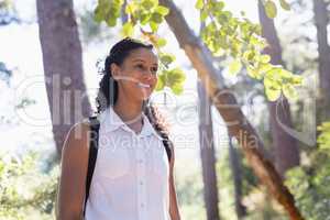 Low angle view of happy hiker in forest