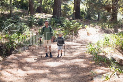 Father and son hiking on sunny day in forest