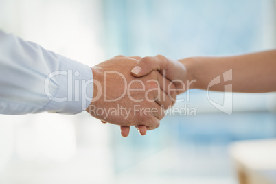 Executives shaking hands in office