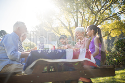 Family having meal in the park
