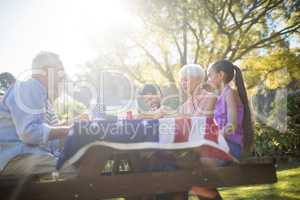 Family having meal in the park