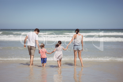 Rear view of family holding hands on shore
