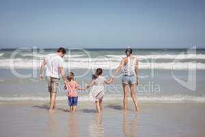 Rear view of family holding hands on shore