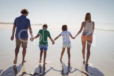 Rear view of family holding hands while walking together on shore