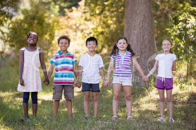 Friends holding hands while standing on grassy field in forest