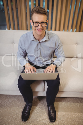 Portrait of smiling executive sitting on sofa and using laptop