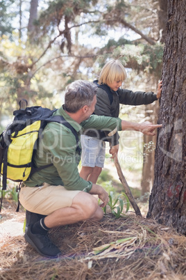 Father showing plant bark to son in forest