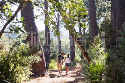 Hikers holding hands on trail in forest