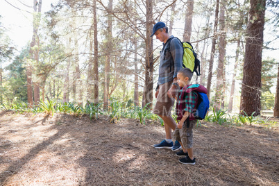 Side view of father and son hiking in forest