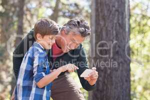 Cheerful father and son using mobile phone in forest