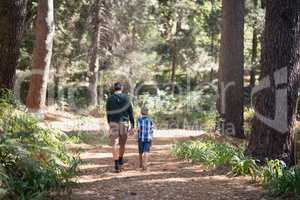 Father and son walking in forest on sunny day