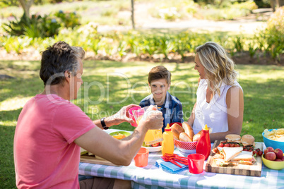 Happy family interacting with each other while having meal in park