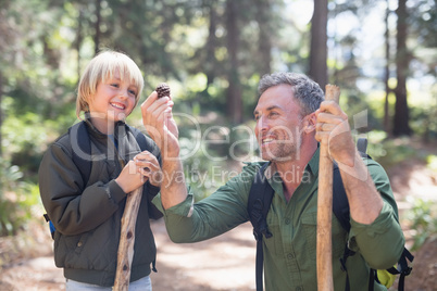 Cheerful father and son looking at pine cone in forest
