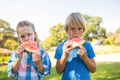 Siblings having watermelon in the park