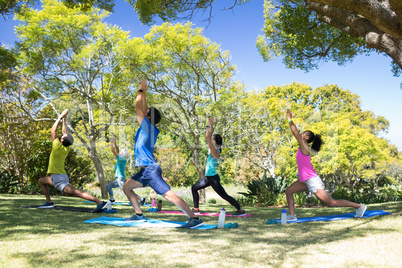 Group of people performing stretching exercise in the park