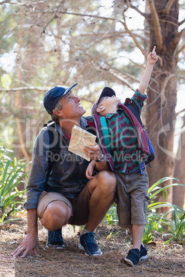 Boy pointing while man looking up in forest