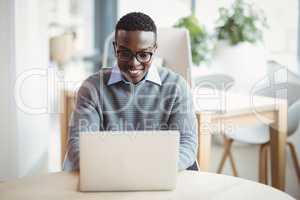 Smiling executive using laptop