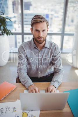 Portrait of handsome executive using laptop at desk