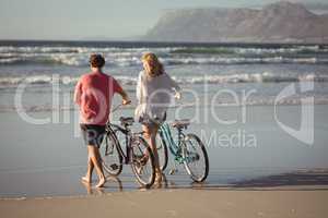 Rear view of couple with bicycles at beach