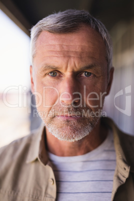 Close up portrait of mature businessman