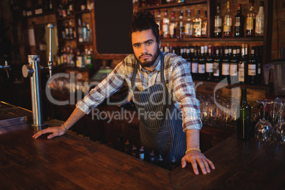 Portrait of waiter standing at counterÃ?Â 