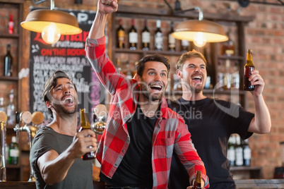Happy male friends cheering while holding beer bottles