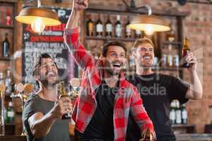 Happy male friends cheering while holding beer bottles