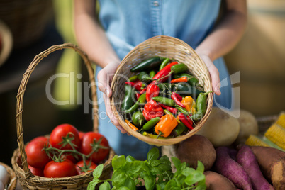 Woman holding bell peppers in wicker basket at farm