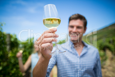 Young man holding wineglass at vineyard