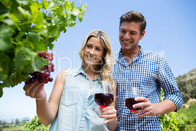 Low angle view of smiling couple holding winnglasses at vineyard