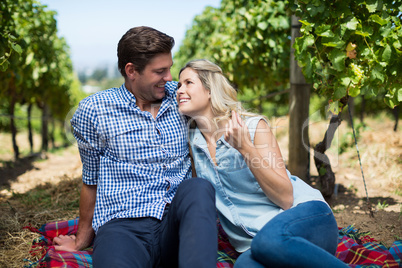 Happy young looking at each other sitting at vineyard