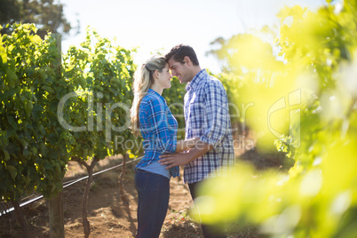 Happy young couple standing face to face at farm
