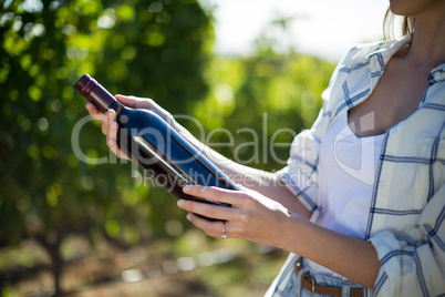 Mid section woman holding wine bottle at vineyard