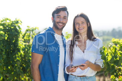 Portrait of young couple holding mobile phone at vineyard