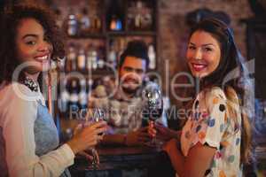 Portrait of two young women having red wine at counter
