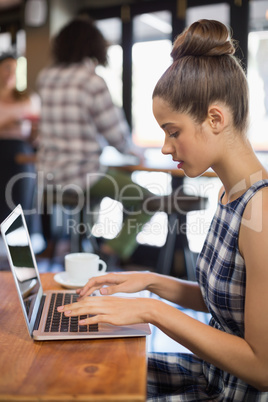Young woman using laptop in restaurant