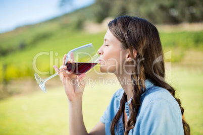 Side view of woman drinking red wine
