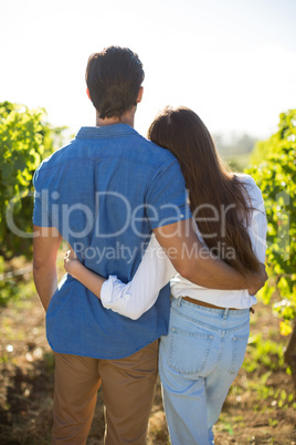 Rear view of young couple embracing at vineyard