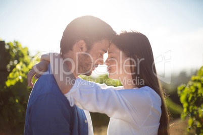 Side view of young couple embracing at vineyard
