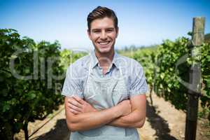 Portrait of smiling farmer at vineyard