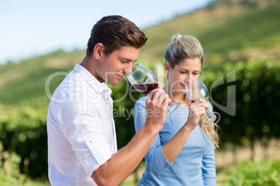 Young friends smelling wine in glasses
