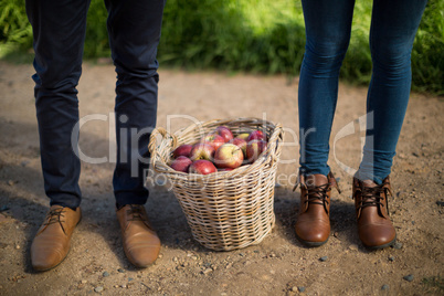 Low section of couple standing by apples in wicker basket on field