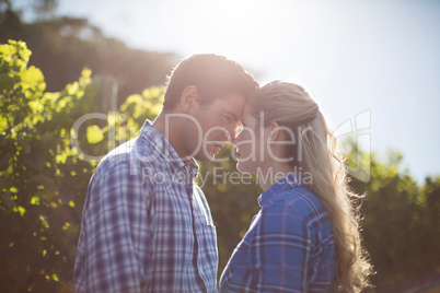 Young couple standing face to face at farm