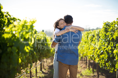 Couple hugging amidst plants at vineyard
