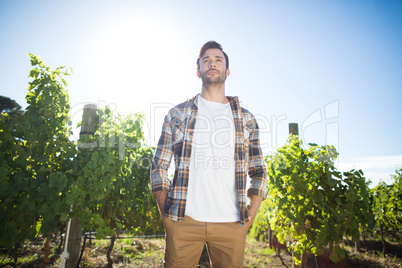 Thoughtful young man standing at vineyard