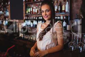Female bartender standing at bar counter